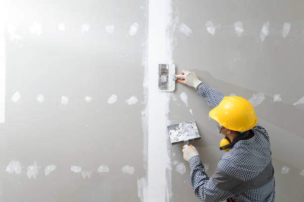 Best Mold Prevention Services  in USA